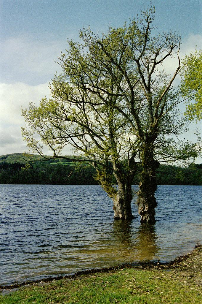 10_Chaumard Lac de Pannecieres.jpg